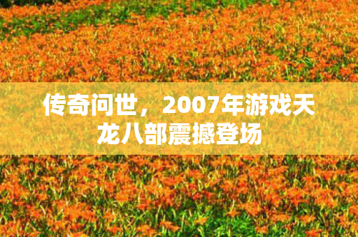 2007年游戏天龙八部震撼登场图片