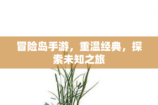 探索未知之旅图片