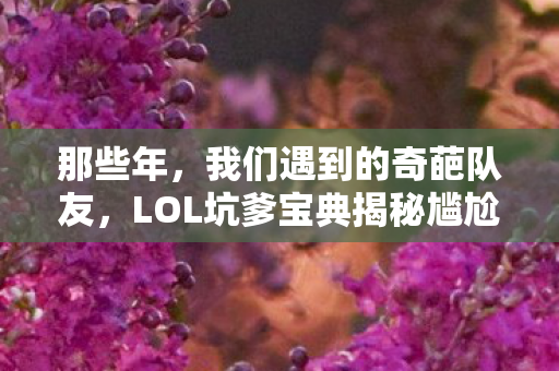 LOL坑爹宝典揭秘尴尬瞬间图片