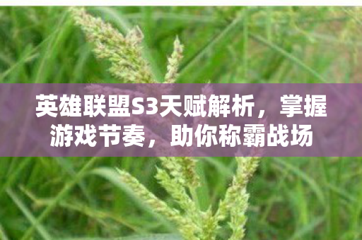 英雄联盟S3天赋解析图片