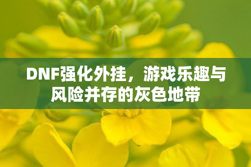 游戏乐趣与风险并存的灰色地带图片