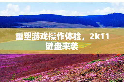 重塑游戏操作体验图片