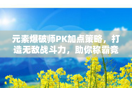 元素爆破师PK加点策略图片