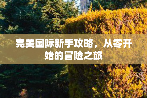从零开始的冒险之旅图片