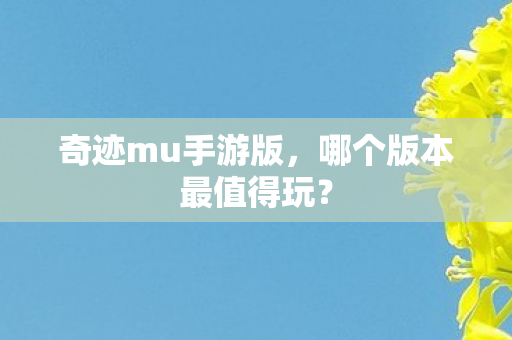 哪个版本最值得玩图片