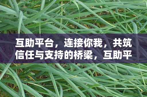 共筑信任与支持的桥梁图片