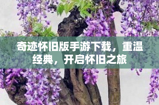 奇迹怀旧版手游下载图片