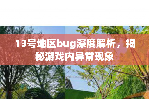 13号地区bug深度解析图片