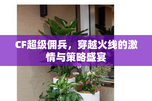 穿越火线的激情与策略盛宴图片