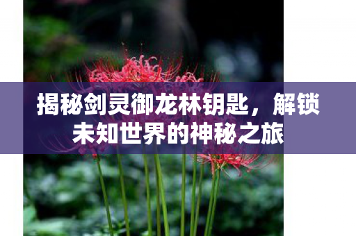 解锁未知世界的神秘之旅图片