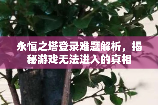 揭秘游戏无法进入的真相图片