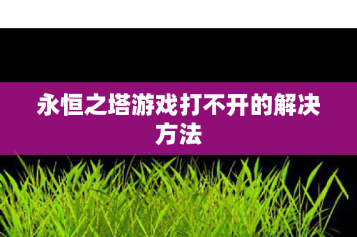 永恒之塔游戏打不开的解决方法图片