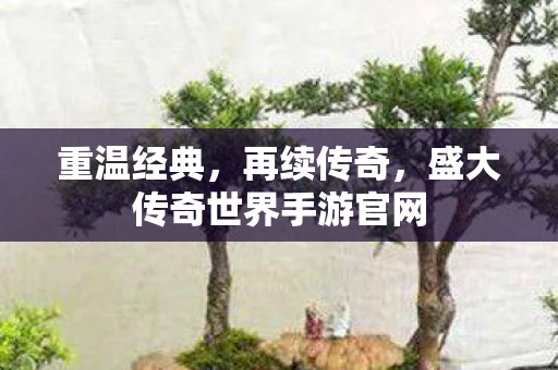 盛大传奇世界手游官网图片