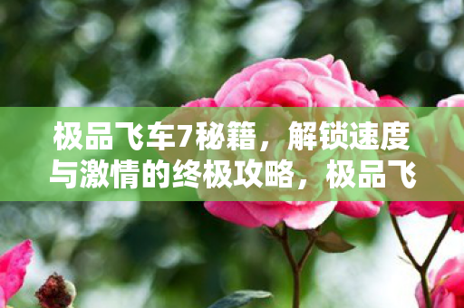 解锁速度与激情的终极攻略图片