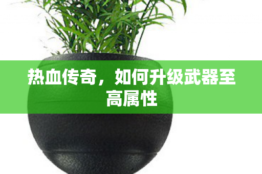 如何升级武器至高属性图片