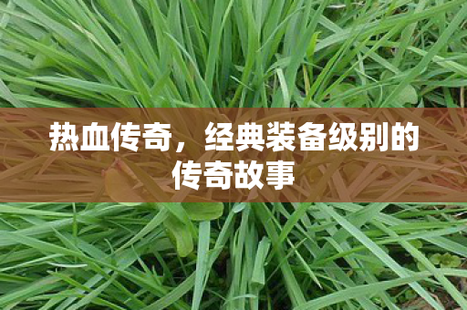 经典装备级别的传奇故事图片
