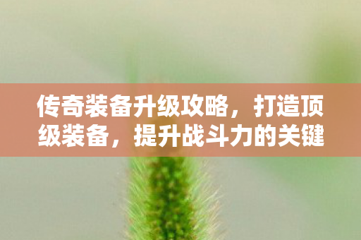 提升战斗力的关键步骤图片