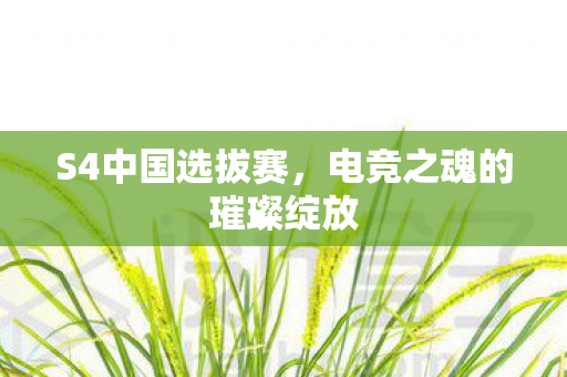 电竞之魂的璀璨绽放图片