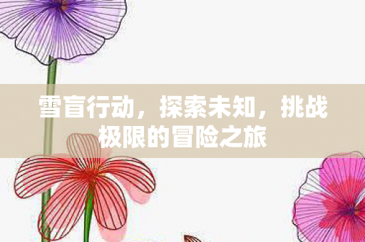 挑战极限的冒险之旅图片