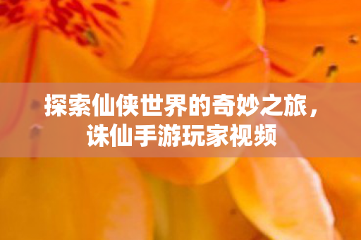探索仙侠世界的奇妙之旅图片