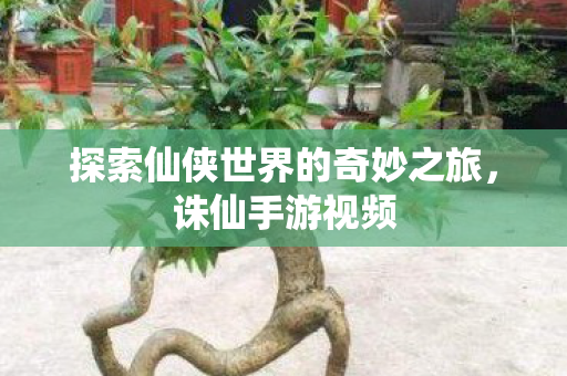 探索仙侠世界的奇妙之旅图片