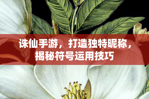 揭秘符号运用技巧图片