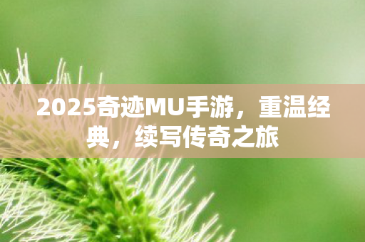 2025奇迹MU手游图片