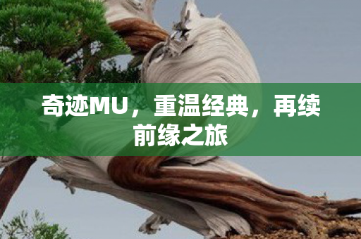 再续前缘之旅图片