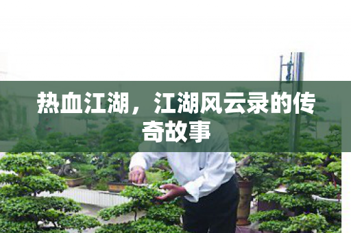江湖风云录的传奇故事图片