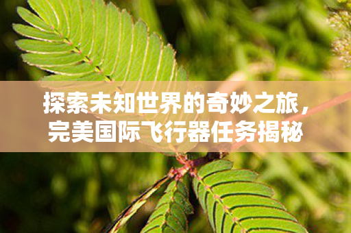 探索未知世界的奇妙之旅图片