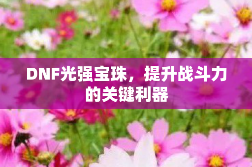 提升战斗力的关键利器图片