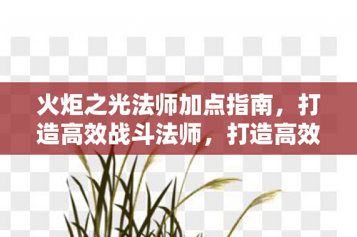 火炬之光法师加点指南,打造高效战斗法师,打造高效战斗法师,火炬之光法师加点指南 火炬之光法师加点指南,打造高效战斗法师,打造高效战斗法师,火炬之光法师加点指南