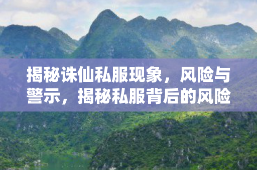 揭秘诛仙私服现象，风险与警示，揭秘私服背后的风险与警示