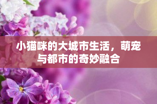 小猫咪的大城市生活，萌宠与都市的奇妙融合