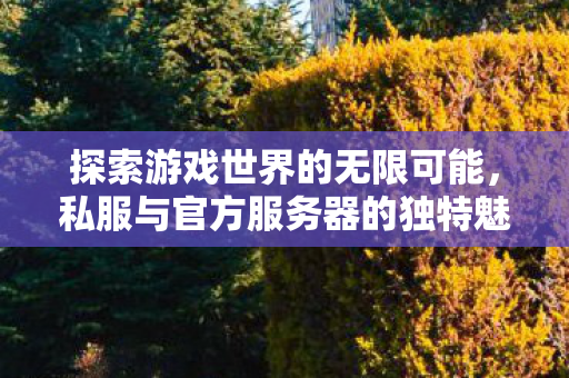 探索游戏世界的无限可能，私服与官方服务器的独特魅力