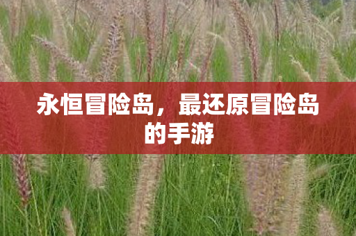 最还原冒险岛的手游图片