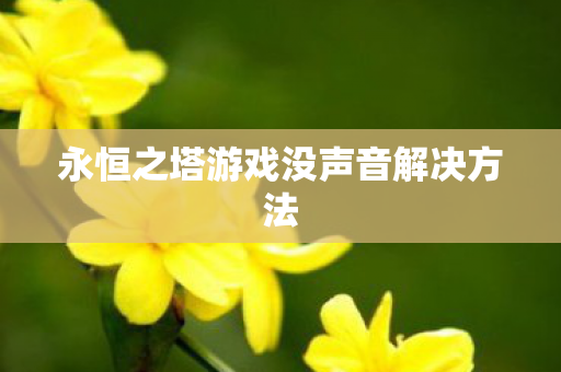 永恒之塔游戏没声音解决方法图片