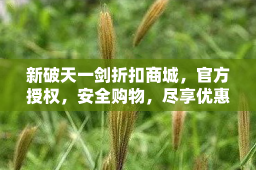 新破天一剑折扣商城图片