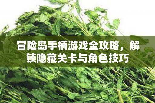解锁隐藏关卡与角色技巧图片
