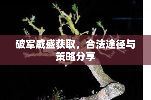 合法途径与策略分享图片