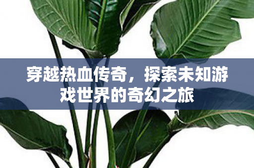 探索未知游戏世界的奇幻之旅图片