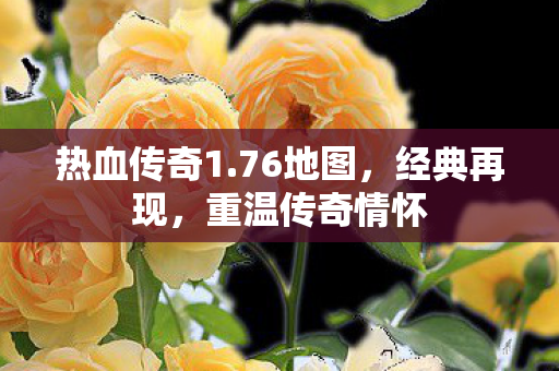 重温传奇情怀图片
