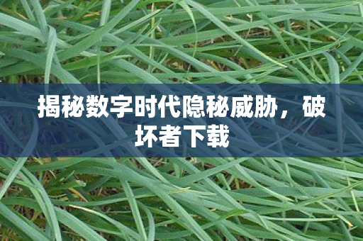 揭秘数字时代隐秘威胁图片
