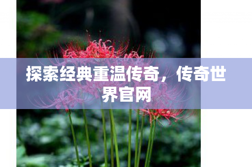 探索经典重温传奇图片