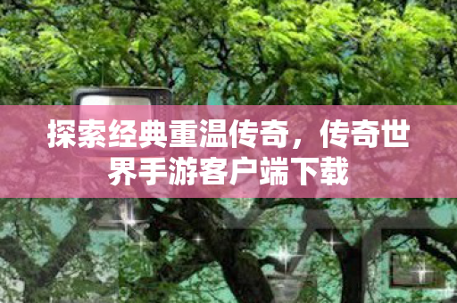 传奇世界手游客户端下载图片