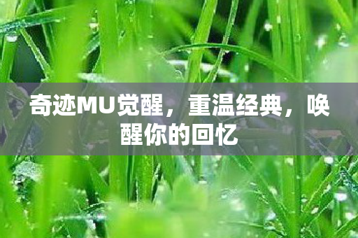 奇迹MU觉醒图片
