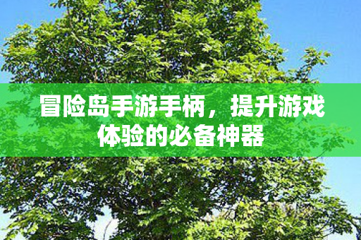 提升游戏体验的必备神器图片