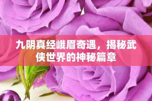 揭秘武侠世界的神秘篇章图片