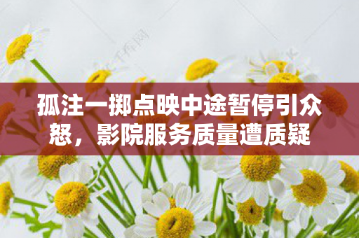 孤注一掷点映中途暂停引众怒图片