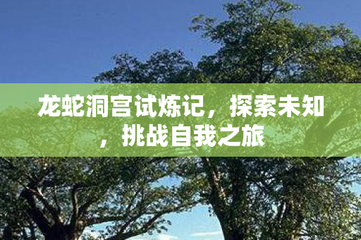 龙蛇洞宫试炼记图片